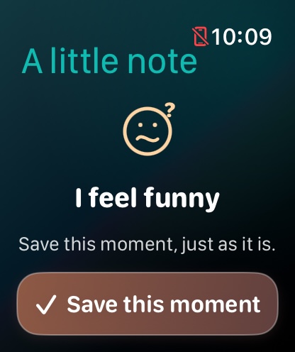 I feel funny screen with the Save this moment button